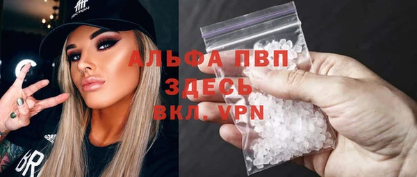 гидра Инсар