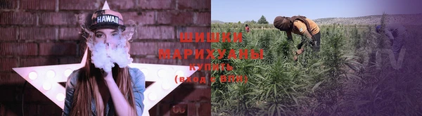 гидра Инсар