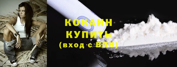 гидра Инсар