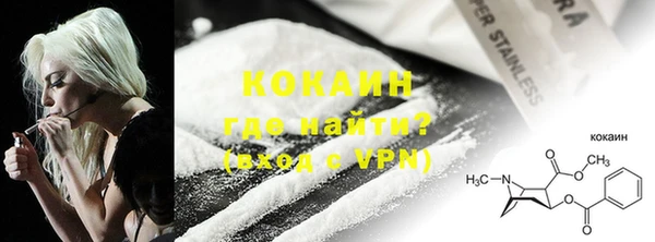 гидра Инсар
