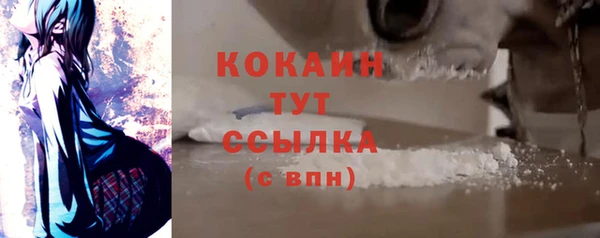 гидра Инсар