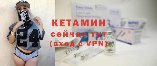 гидра Инсар
