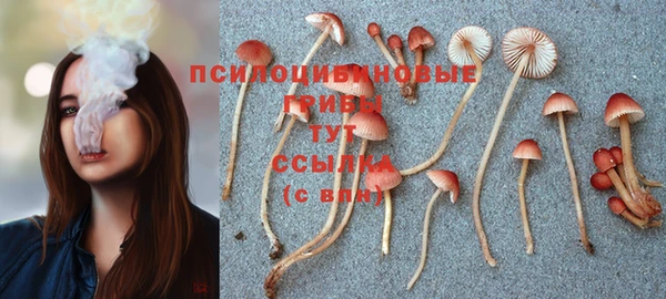 прущий лед Иннополис